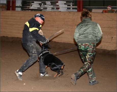 Training in Estonia 11/2007